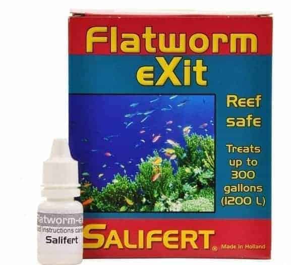 205112-salifert-flatworm-exit-test-kit_1-e1581118598403.jpg Salifert Flatworm eXit (FWE) - Image 1