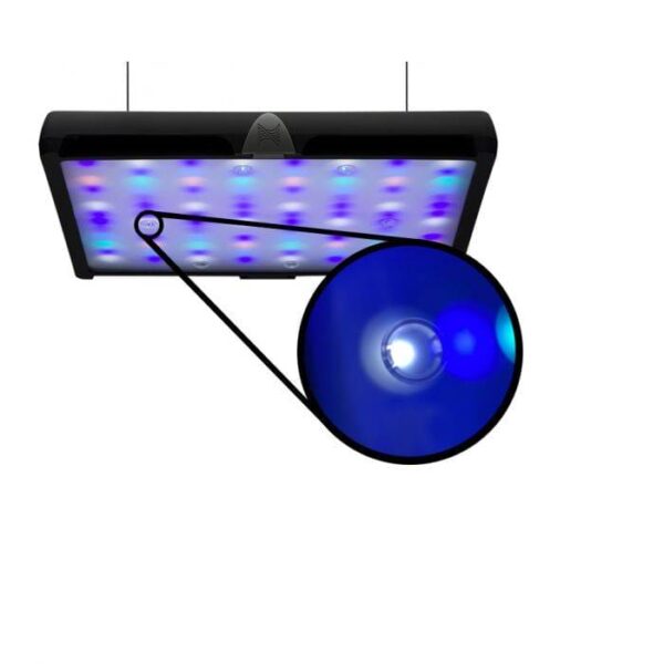 232479-sky-shimz-visual-970x970-1.jpg SKY LED Light Diffused Shimz- Neptune Systems - Image 1