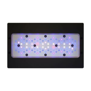 Radion XR30 G6 Blue Light Fixture