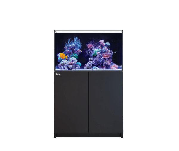 Red Sea Reefer G2 + - Image 6