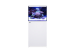 Red Sea Reefer G2 + - Image 12