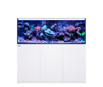 Red Sea Reefer G2 + - Image 17