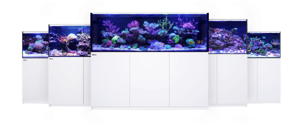 Red Sea Reefer G2 + - Image 2