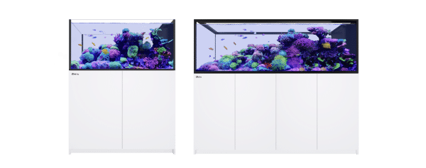REEFER-Peninsula-G2.png Red Sea REEFER Peninsula G2+ - Image 1