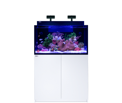 Range-banner-max-nano-g2-xxl-1.png Red Sea MAX NANO G2 Series - Image 1